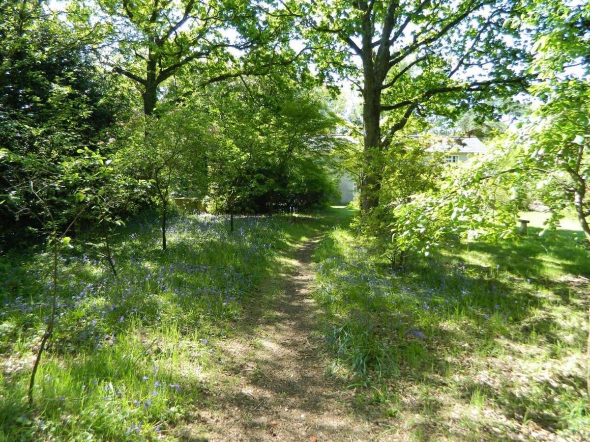 River Cottage A Country Retreat In Wooded Gardens East Stoke  ภายนอก รูปภาพ