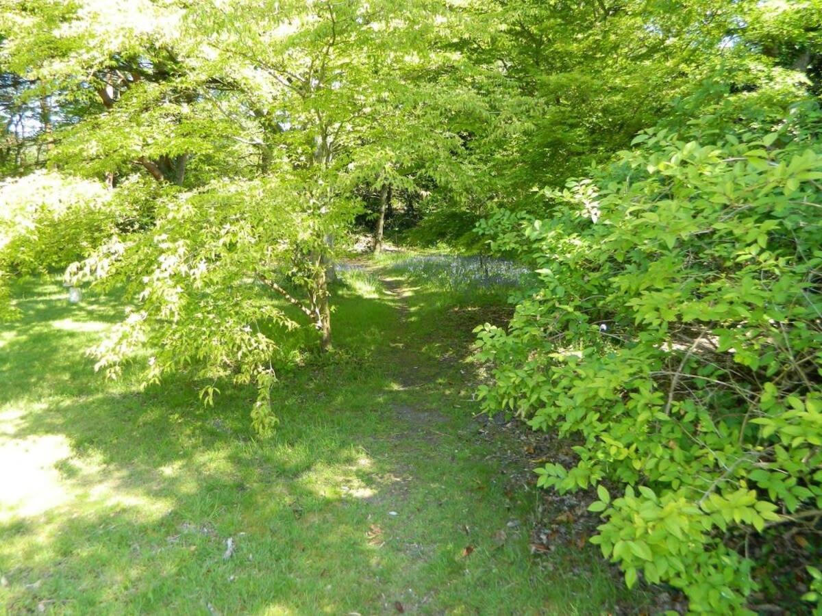 River Cottage A Country Retreat In Wooded Gardens East Stoke  ภายนอก รูปภาพ